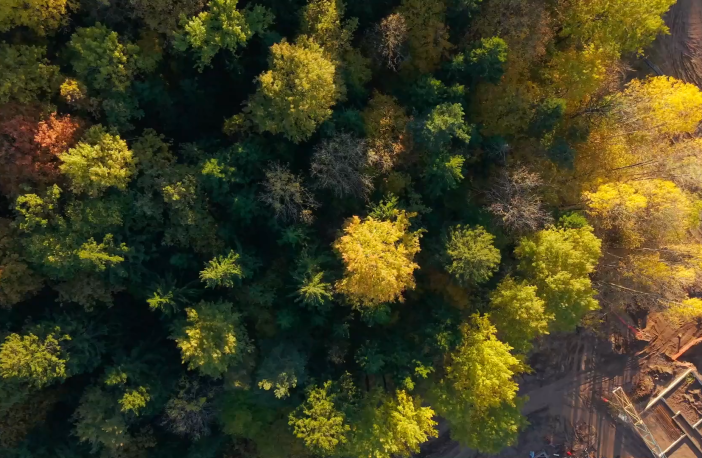 Projekto statybų eiga